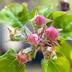 Similar image 13045809