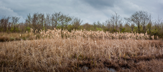 Similar image 13062045