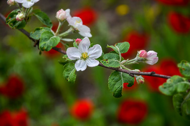 Similar image 13023785