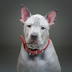 Similar image 13052700