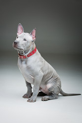 Similar image 13052701