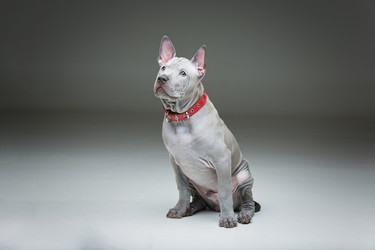 Similar image 13036486