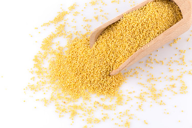 Similar image 13060053