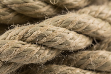 Similar image 13060075