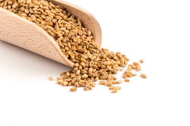 Similar image 13060097