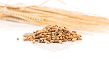 Similar image 13060099