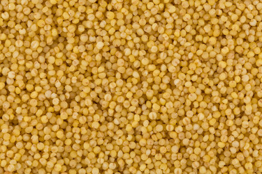 Similar image 13060101