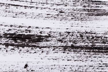 Similar image 13060102