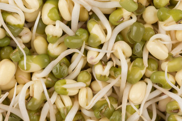 Similar image 13060105