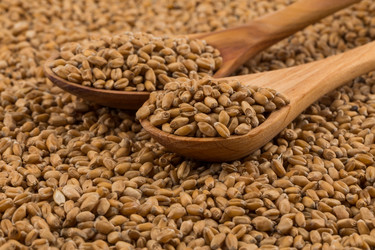 Similar image 13060112