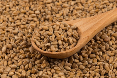 Similar image 13060129