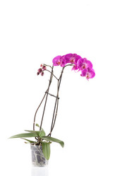 Similar image 13060153