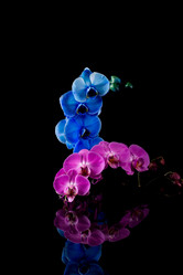 Similar image 13060173