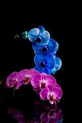 Similar image 13060172