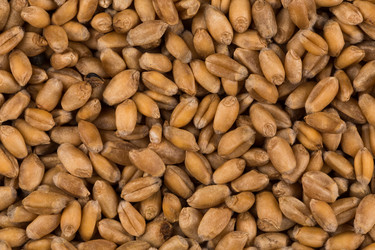 Similar image 13060174