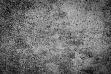 Similar image 13003347