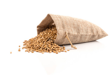 Similar image 13003388