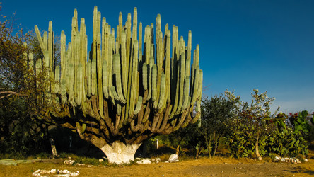 Similar image 13011599