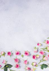 Similar image 13038671