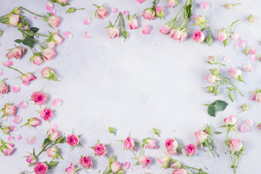 Similar image 13038700