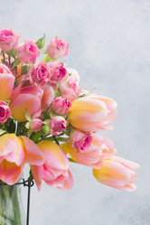 Similar image 13023465