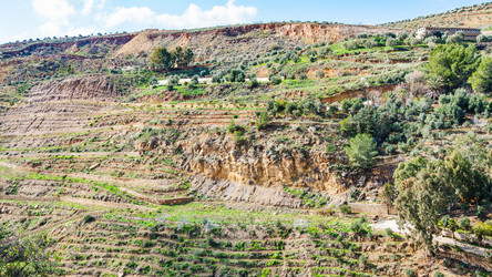 Similar image 13006976