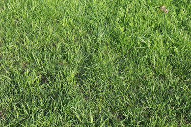 Similar image 13048367