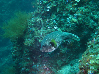 Similar image 13048381