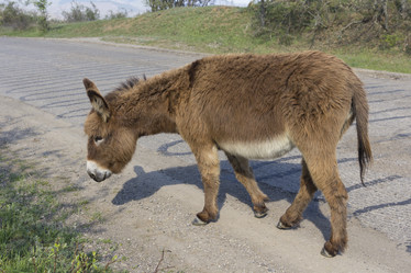 Similar image 13047986