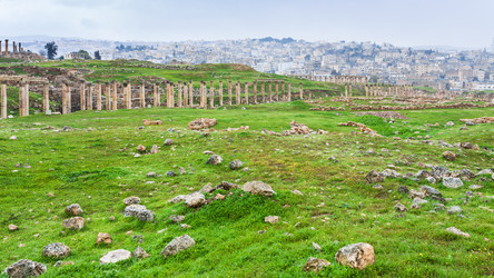 Similar image 13006944