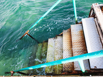 Similar image 13006887