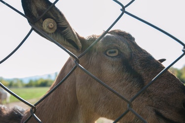 Similar image 13035891