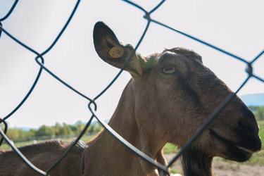 Similar image 13035892