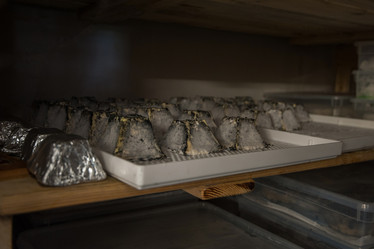 Similar image 13035919