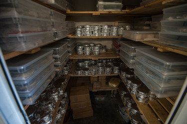 Similar image 13035935