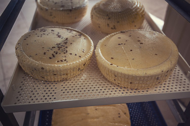 Similar image 13035950