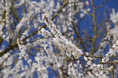 Similar image 13005177