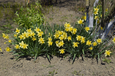 Similar image 13005195