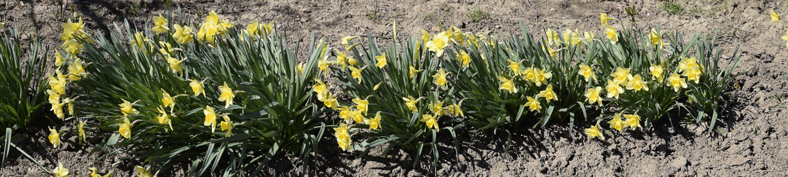 Similar image 13005196