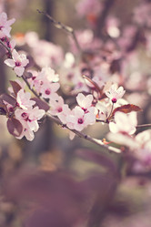 Similar image 13052350