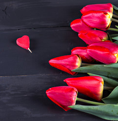 Similar image 13007920