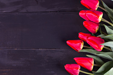 Similar image 13007939