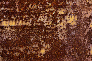 Similar image 13008399