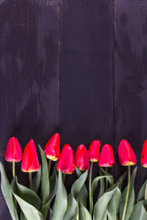 Similar image 13008418