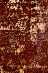 Similar image 13008419