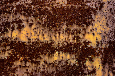 Similar image 13008420