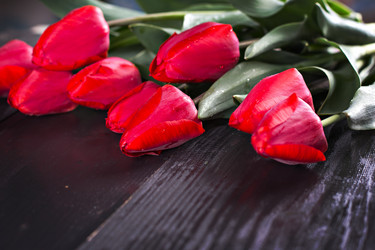 Similar image 13008436