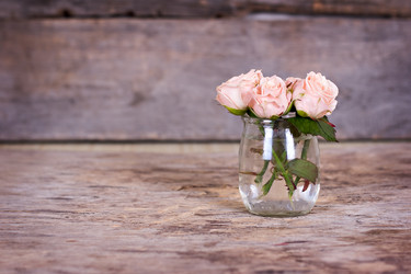 Similar image 13010075