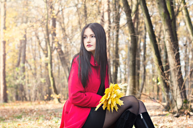 Similar image 13010138