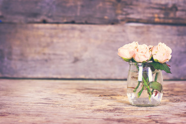 Similar image 13010949